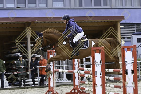 Fränkische Meisterschaft - Prüfung 19, Springpr. Kl. L - Image 61