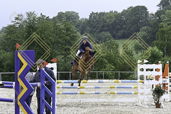 Fränkische Meisterschaft - Prüfung 19, Springpr. Kl. L - Image 62