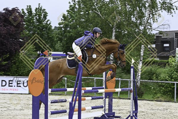Fränkische Meisterschaft - Prüfung 19, Springpr. Kl. L - Image 63