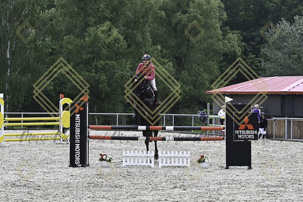 Fränkische Meisterschaft - Prüfung 19, Springpr. Kl. L - Image 64