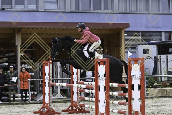 Fränkische Meisterschaft - Prüfung 19, Springpr. Kl. L - Image 67