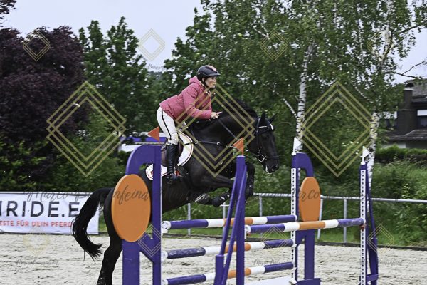 Fränkische Meisterschaft - Prüfung 19, Springpr. Kl. L - Image 69
