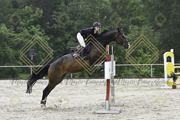 Fränkische Meisterschaft - Prüfung 7, Springpr. Kl. L - Image 25