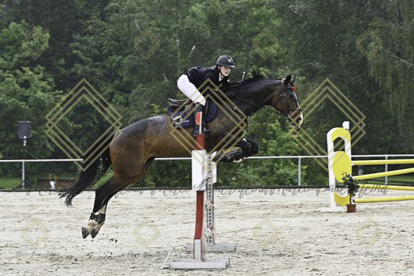 Fränkische Meisterschaft - Prüfung 7, Springpr. Kl. L - Image 26
