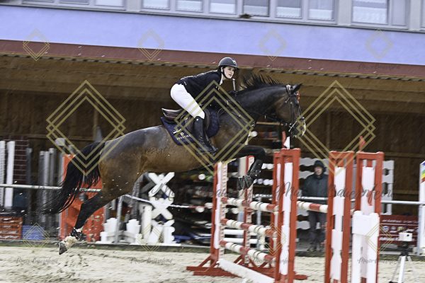 Fränkische Meisterschaft - Prüfung 7, Springpr. Kl. L - Image 27