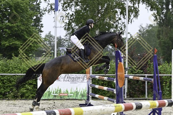 Fränkische Meisterschaft - Prüfung 7, Springpr. Kl. L - Image 31