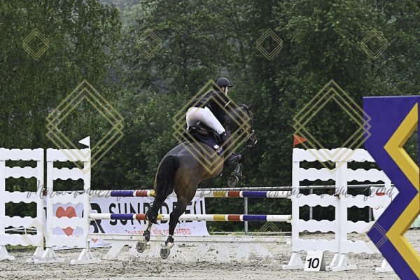Fränkische Meisterschaft - Prüfung 7, Springpr. Kl. L - Image 32