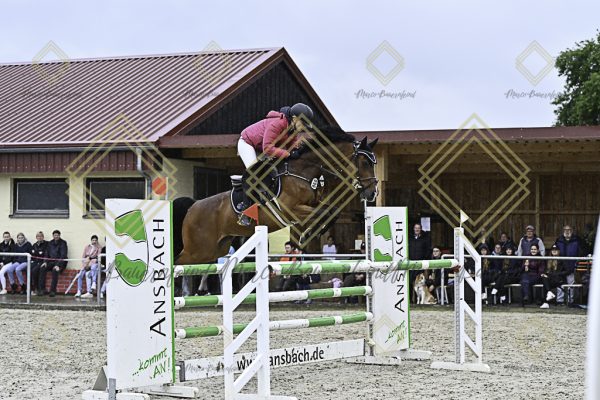Fränkische Meisterschaft - Prüfung 4, Springpr. Kl. M* - Image 30