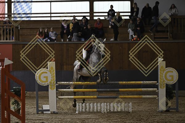 Fränkische Meisterschaft - Prüfung 12, Springpr. Kl. L - Image 57