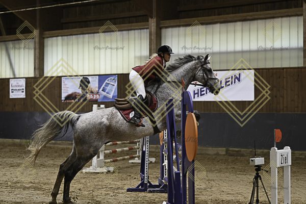 Fränkische Meisterschaft - Prüfung 12, Springpr. Kl. L - Image 58