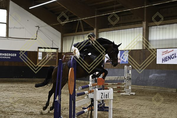 Fränkische Meisterschaft - Prüfung 12, Springpr. Kl. L - Image 64