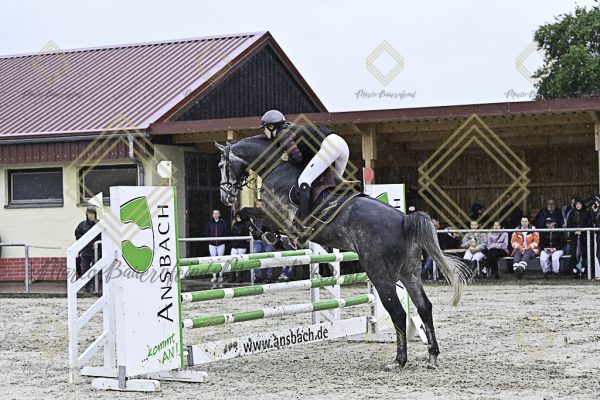 Fränkische Meisterschaft - Prüfung 7, Springpr. Kl. L - Image 33