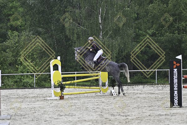 Fränkische Meisterschaft - Prüfung 7, Springpr. Kl. L - Image 34