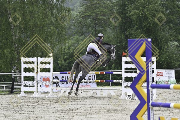 Fränkische Meisterschaft - Prüfung 7, Springpr. Kl. L - Image 36
