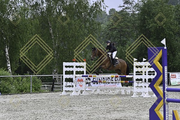 Fränkische Meisterschaft - Prüfung 10, Springpr. Kl. L - Image 50
