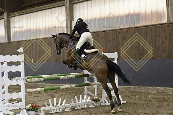 Fränkische Meisterschaft - Prüfung 12, Springpr. Kl. L - Image 70
