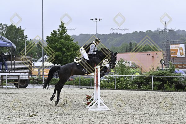 Fränkische Meisterschaft - Prüfung 4, Springpr. Kl. M* - Image 31
