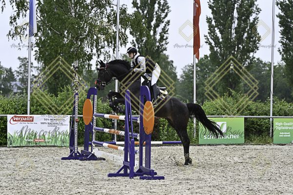 Fränkische Meisterschaft - Prüfung 4, Springpr. Kl. M* - Image 32