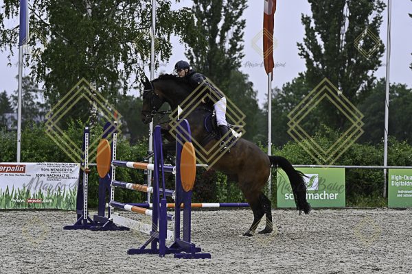 Fränkische Meisterschaft - Prüfung 4, Springpr. Kl. M* - Image 34