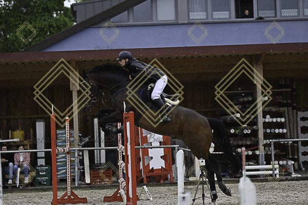 Fränkische Meisterschaft - Prüfung 4, Springpr. Kl. M* - Image 37