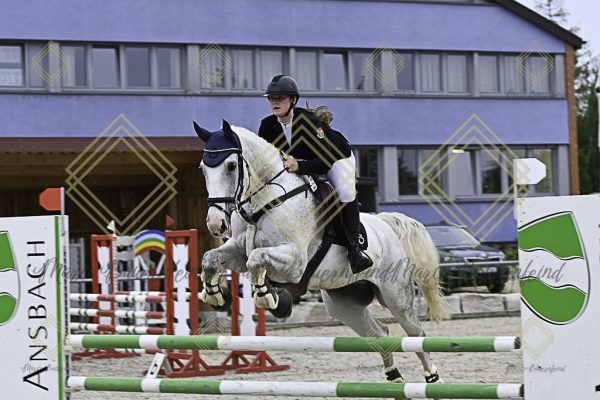 Fränkische Meisterschaft - Prüfung 20, Springpr.Kl.A** - Image 18