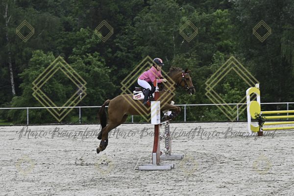 Fränkische Meisterschaft - Prüfung 13, Springpr. Kl. A** - Image 19