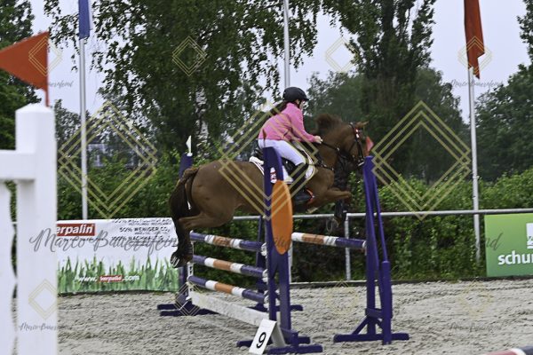Fränkische Meisterschaft - Prüfung 13, Springpr. Kl. A** - Image 22