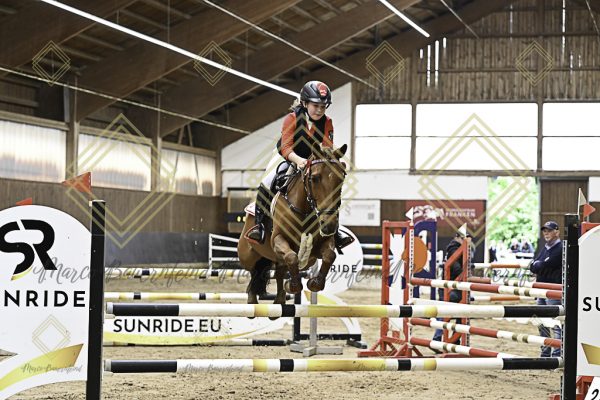 Fränkische Meisterschaft - Prüfung 15, Ponystilpr. Kl. L - Image 6