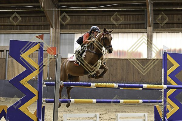 Fränkische Meisterschaft - Prüfung 15, Ponystilpr. Kl. L - Image 7