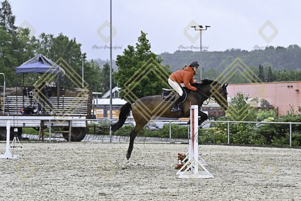 Fränkische Meisterschaft - Prüfung 10, Springpr. Kl. L - Image 56
