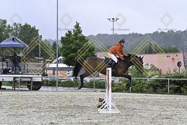 Fränkische Meisterschaft - Prüfung 10, Springpr. Kl. L - Image 57