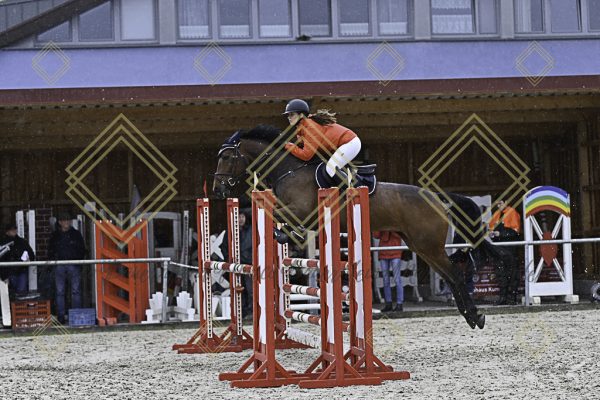 Fränkische Meisterschaft - Prüfung 10, Springpr. Kl. L - Image 61