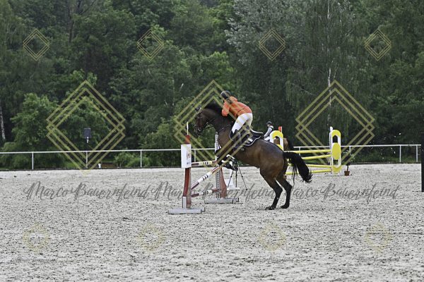 Fränkische Meisterschaft - Prüfung 10, Springpr. Kl. L - Image 62