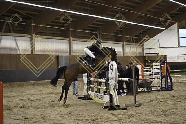 Fränkische Meisterschaft - Prüfung 11, Springpr. Kl. L - Image 57
