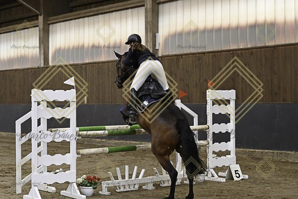 Fränkische Meisterschaft - Prüfung 12, Springpr. Kl. L - Image 75