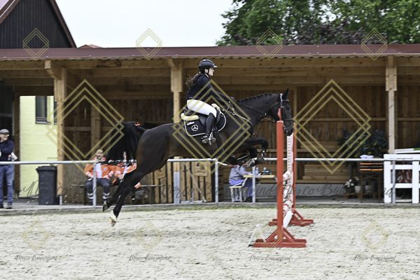 Fränkische Meisterschaft - Prüfung 20, Springpr.Kl.A** - Image 22