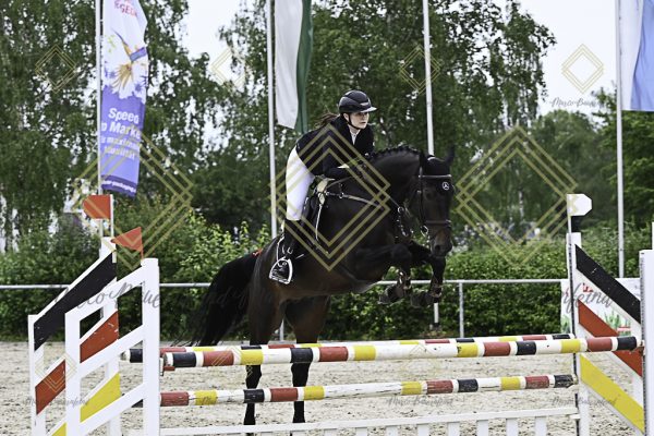 Fränkische Meisterschaft - Prüfung 20, Springpr.Kl.A** - Image 23