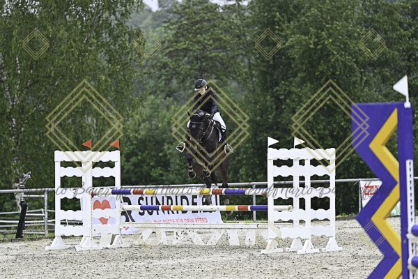 Fränkische Meisterschaft - Prüfung 10, Springpr. Kl. L - Image 63