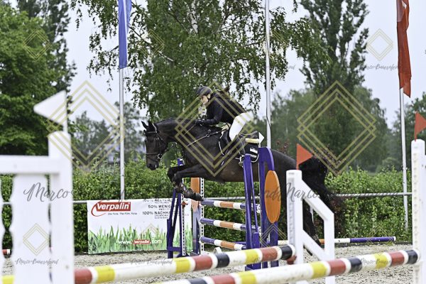 Fränkische Meisterschaft - Prüfung 10, Springpr. Kl. L - Image 64