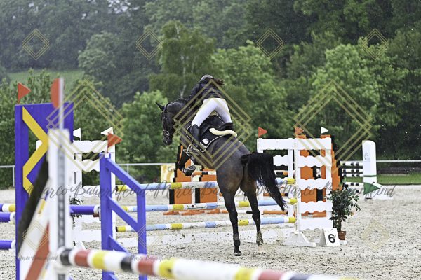 Fränkische Meisterschaft - Prüfung 10, Springpr. Kl. L - Image 65