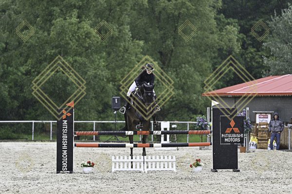 Fränkische Meisterschaft - Prüfung 10, Springpr. Kl. L - Image 66