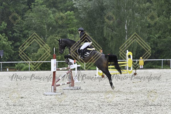 Fränkische Meisterschaft - Prüfung 10, Springpr. Kl. L - Image 68