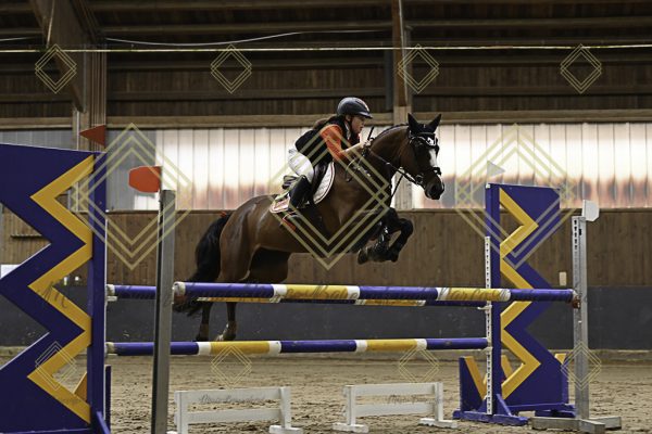 Fränkische Meisterschaft - Prüfung 15, Ponystilpr. Kl. L - Image 11