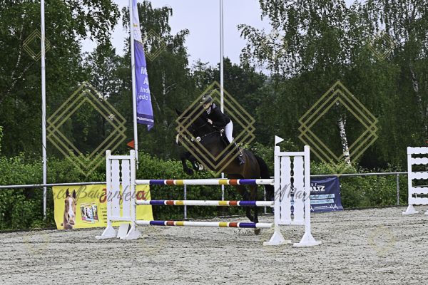 Fränkische Meisterschaft - Prüfung 18, Springpr. Kl. M* - Image 49