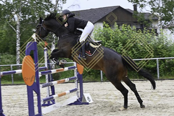 Fränkische Meisterschaft - Prüfung 18, Springpr. Kl. M* - Image 50