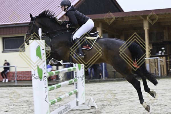 Fränkische Meisterschaft - Prüfung 18, Springpr. Kl. M* - Image 51