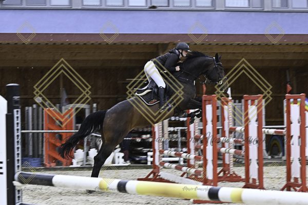 Fränkische Meisterschaft - Prüfung 18, Springpr. Kl. M* - Image 52