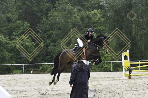Fränkische Meisterschaft - Prüfung 7, Springpr. Kl. L - Image 37