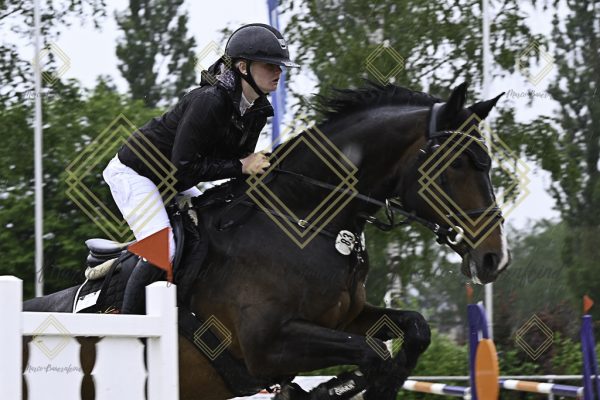 Fränkische Meisterschaft - Prüfung 7, Springpr. Kl. L - Image 38