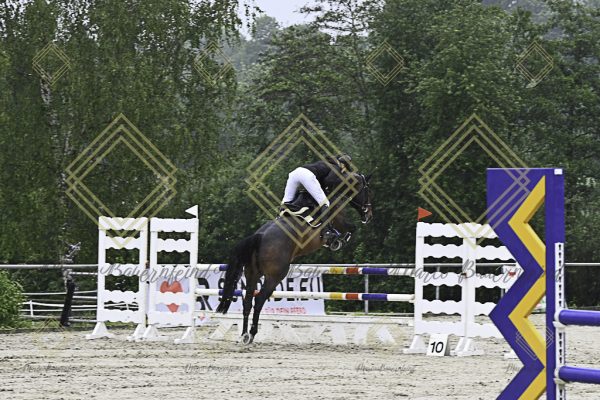 Fränkische Meisterschaft - Prüfung 7, Springpr. Kl. L - Image 39